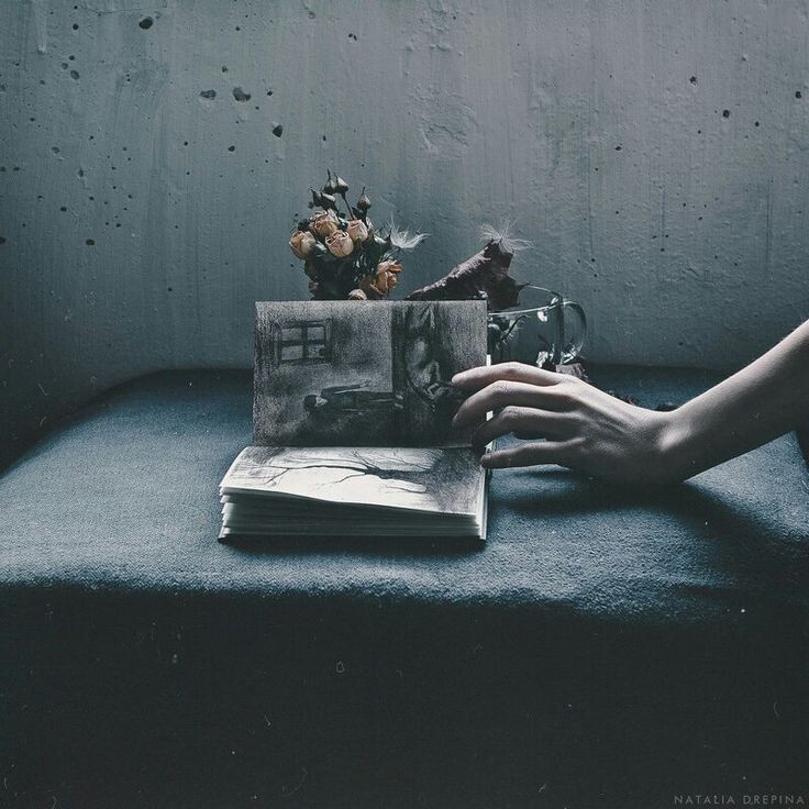 Фото из Интернета 