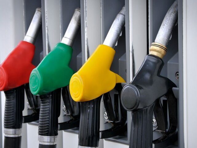    Фото: depositphotos/zorandim