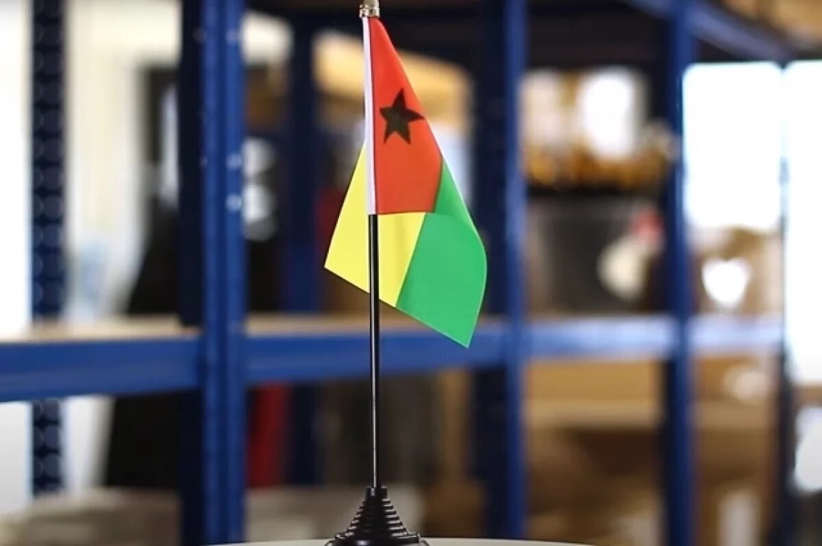    Гвинея-Бисау: 70% наших сил — результат помощи СССР и России