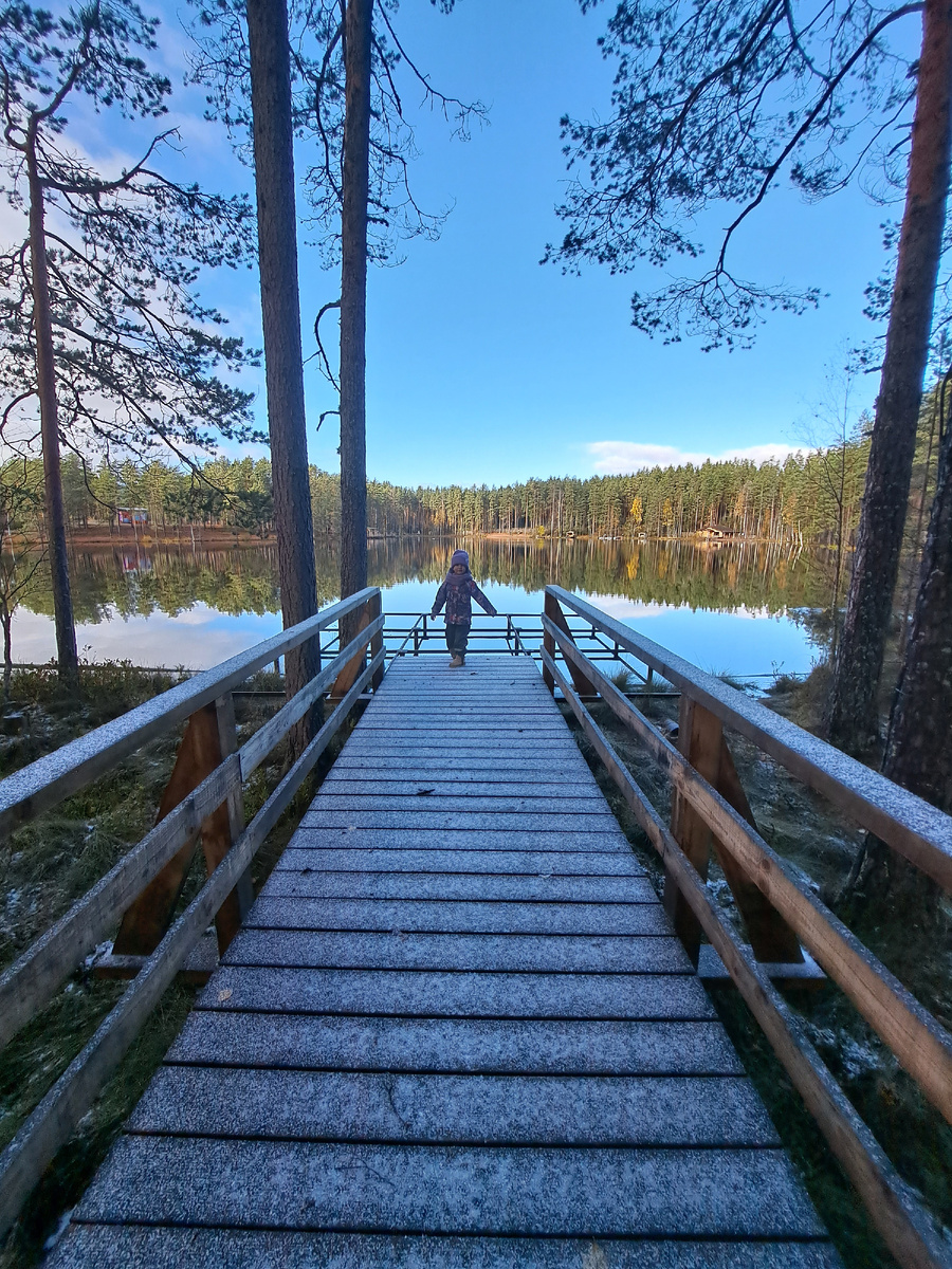 Природа в Ленинградской области 