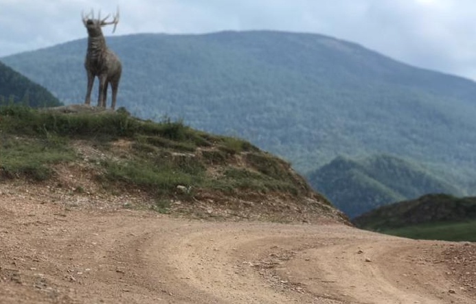 Фото автора, но с других мест.