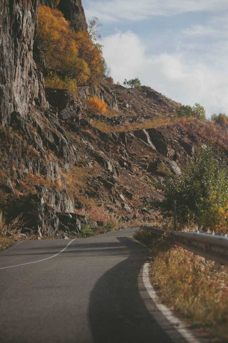 Буйство красок.