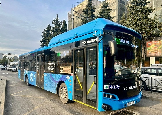    Фото: пресс-служба администрации Сочи