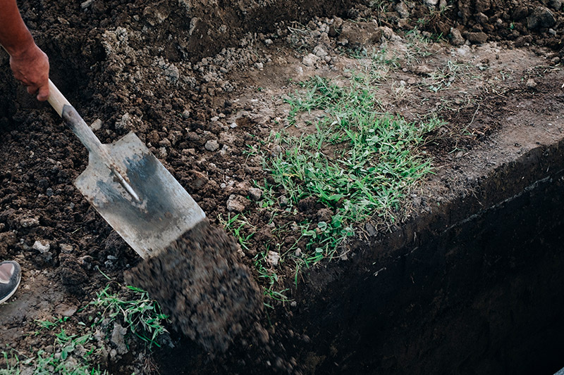    Shutterstock/FOTODOM