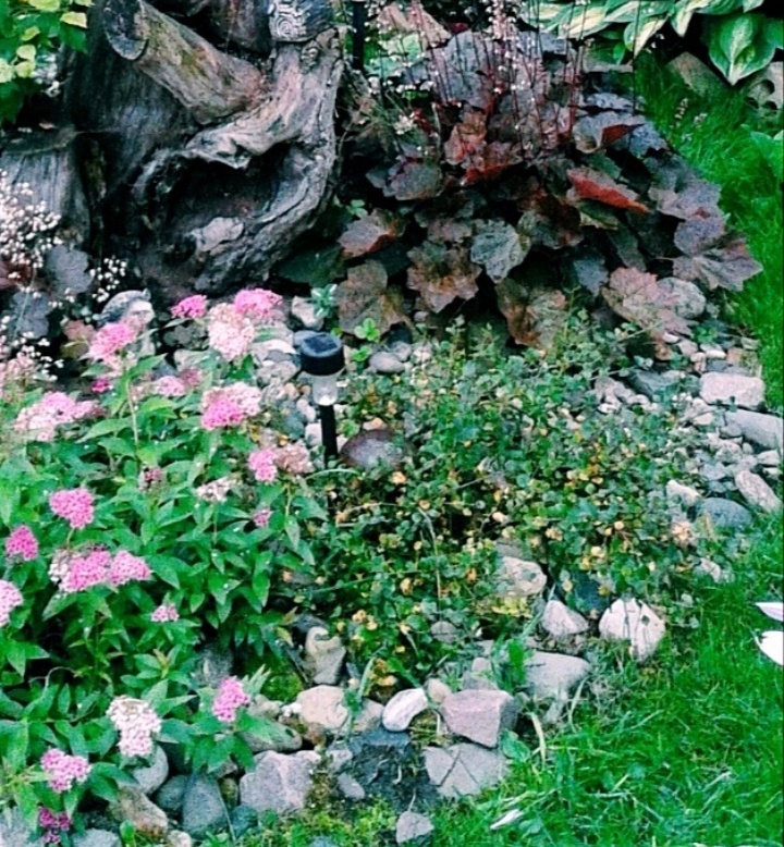 Фото из архива