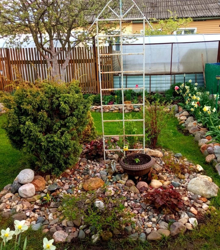 Фото из архива