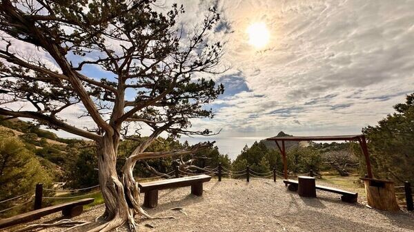    © Соцсети главы РК Сергея Аксенова