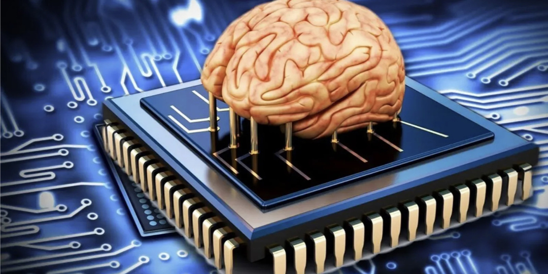 Тренировка памяти за 15 минут в день