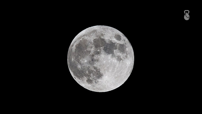      Фото: Дмитрий Ахмадуллин / / ИА «Победа26»