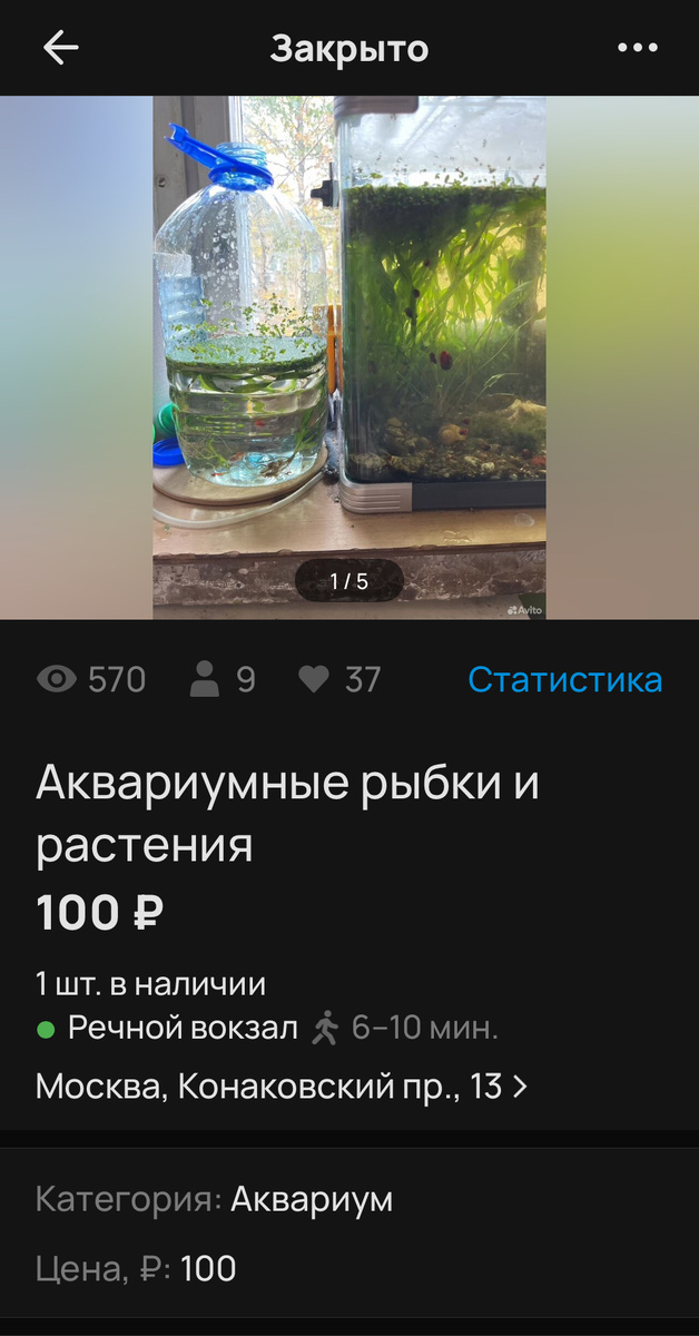 Из личного архива на авито