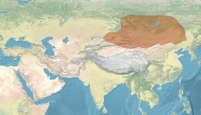 Карта расположения Жужаньского каганата. Фото из свободных источников в Интернете.
