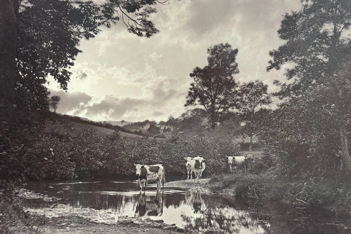 
Генри Робинсон, «Летний вечер» © пресс-служба Центра визуальной культуры Béton
