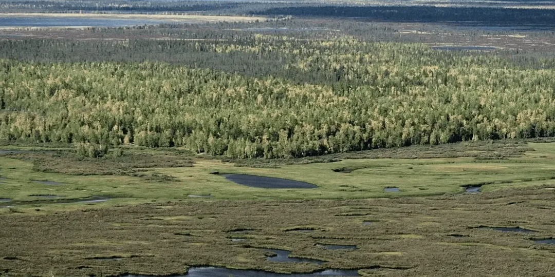Что-то живое проснулось под землёй в Сибири — и оно не хочет, чтобы на него смотрели: находка на глубине 15 километров потрясла всех