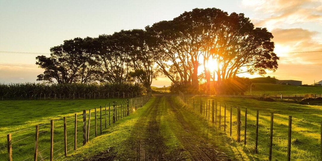 Добро пожаловать в "Новое Заозерье"