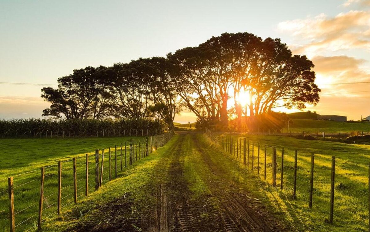 Фото из открытого источника