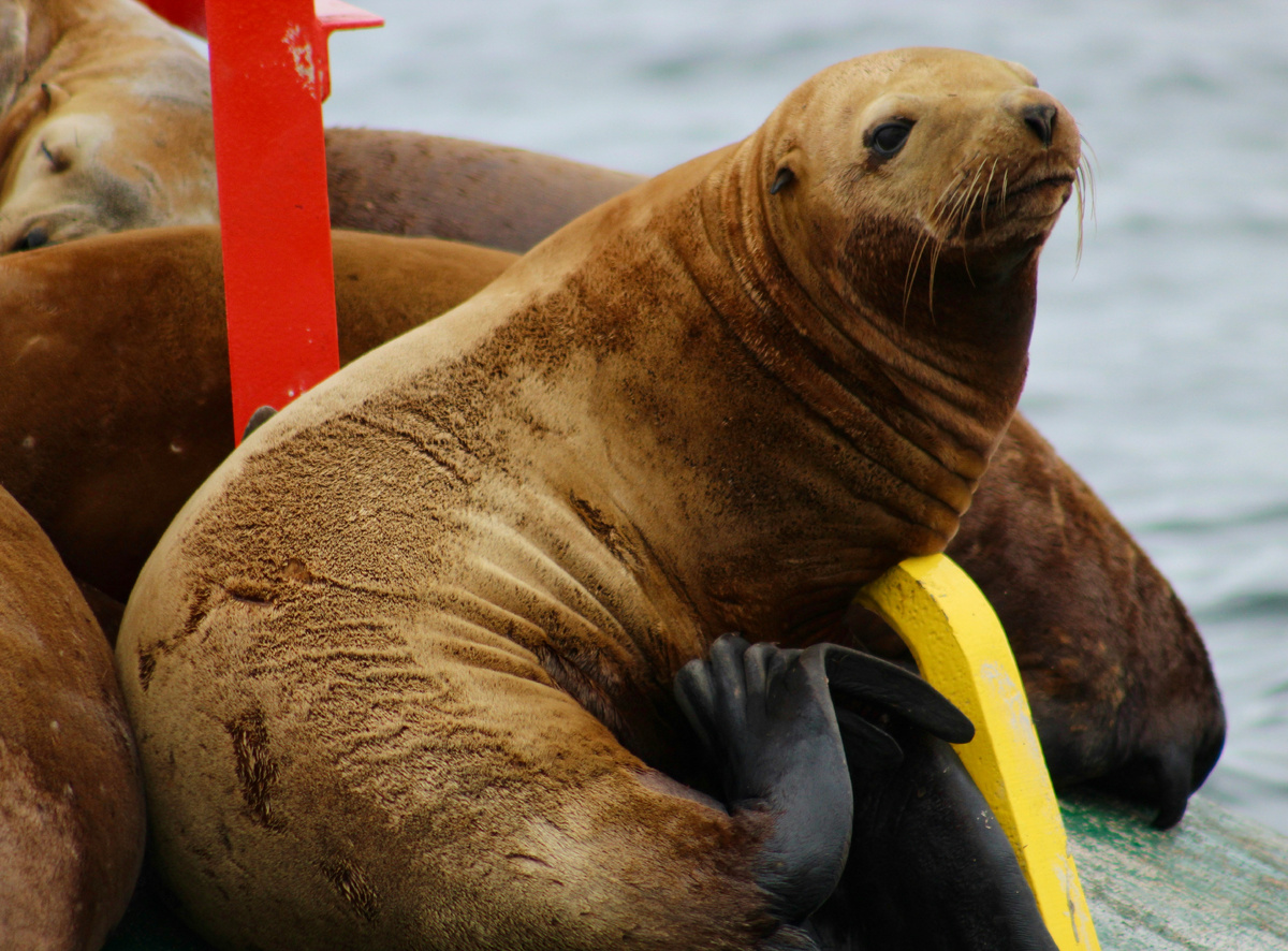 Photo by Ana Karla Parra on Unsplash