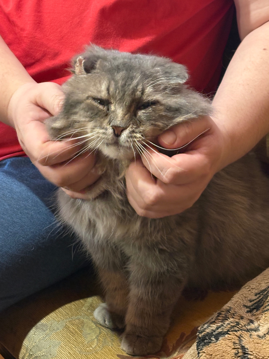 Хозяин, чеши меня, чеши! Везде фото автора.