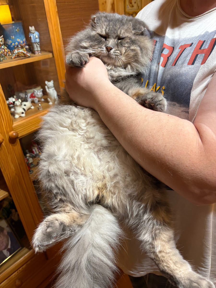 На ручках у мужа!