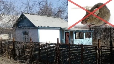 Мышеловку и яды не использую: расставляю по углам этот материал — грызуны в дом не заглядывают