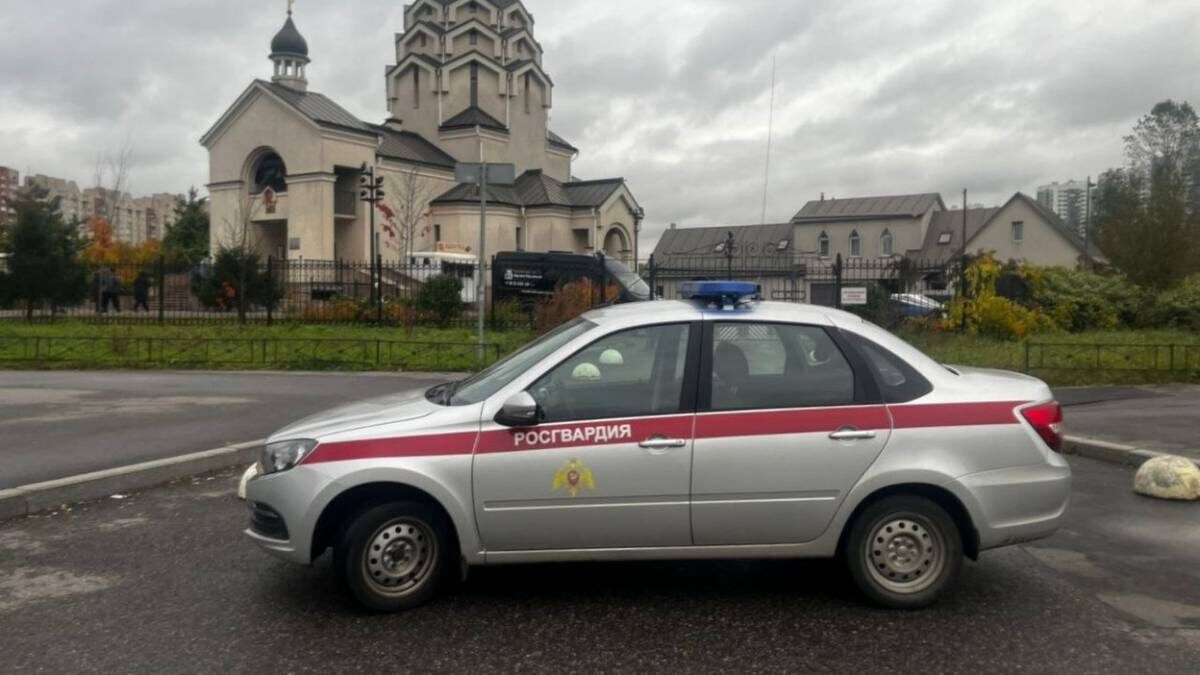    Фото: Telegram / Росгвардия Петербурга ️