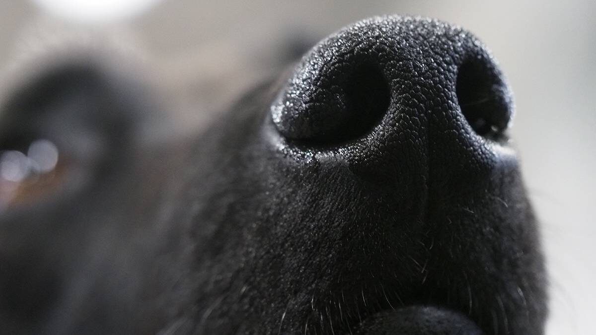    Фото: Антон Гердо / Вечерняя Москва