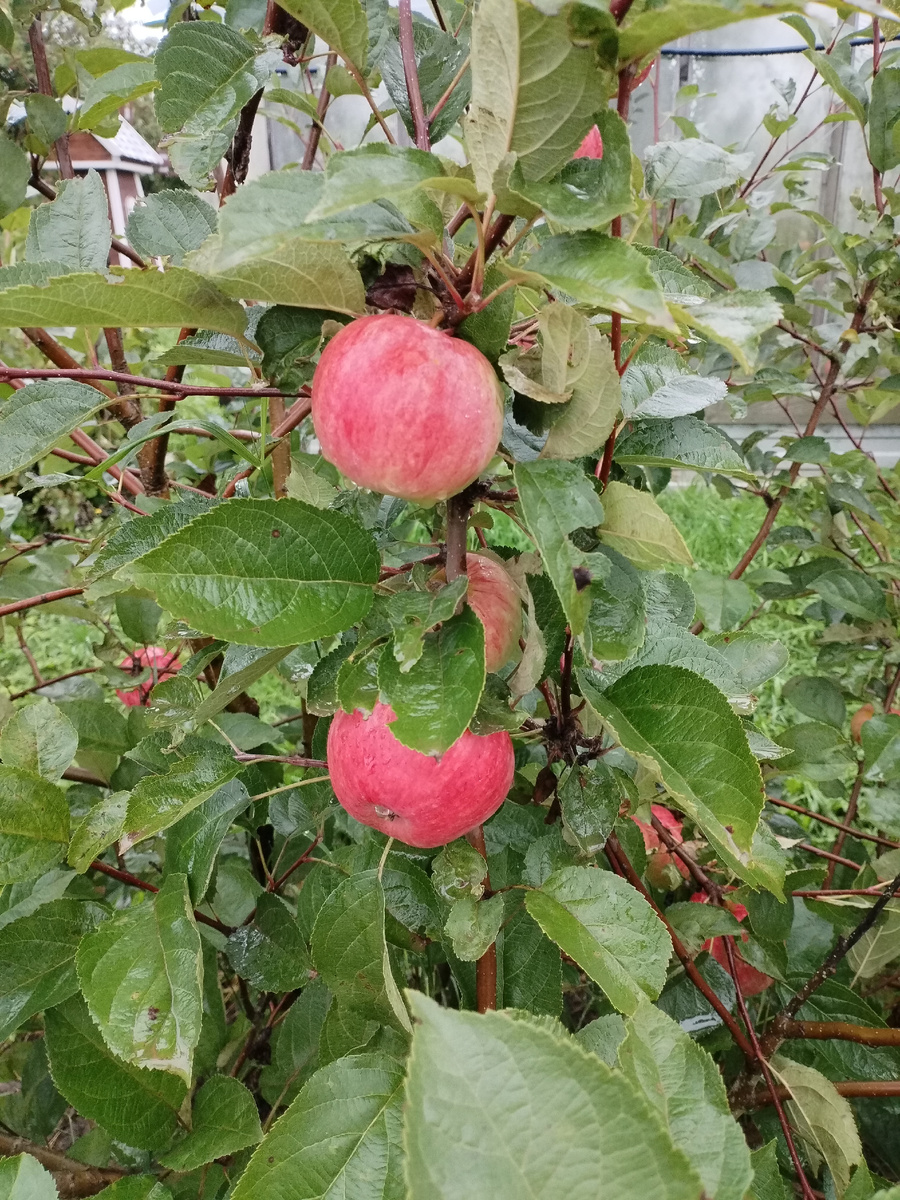 Фото из личного архива