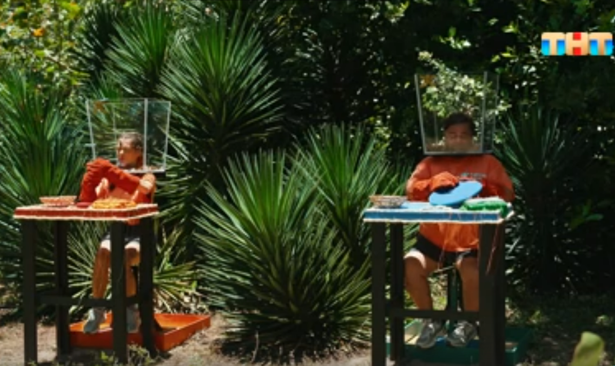 Кадр из шоу "Звезды в джунглях" 19.10.2025