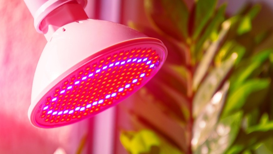 Лампу вешаю на расстоянии ладони от верхушки