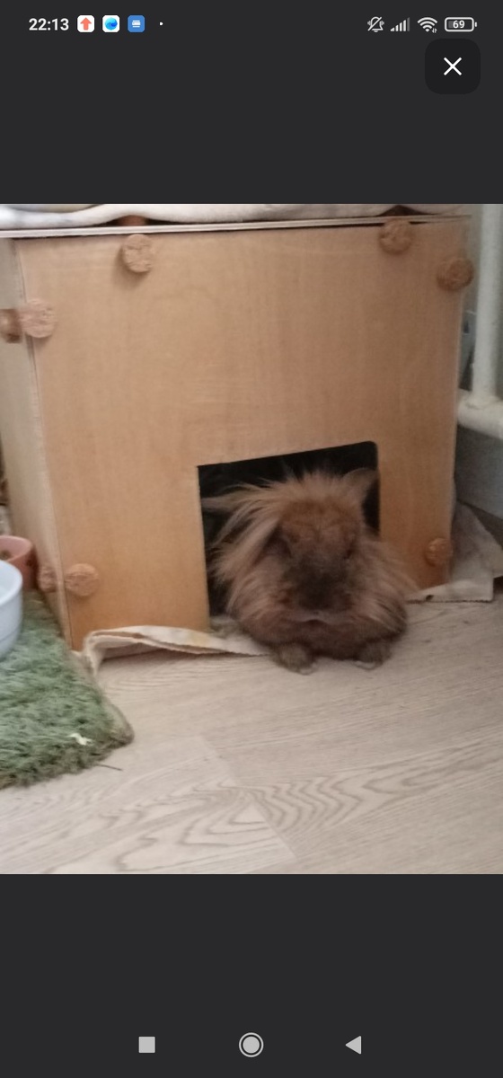 Крольчиха Банникула. Скриншот с сайта Будни кролика Ирискина