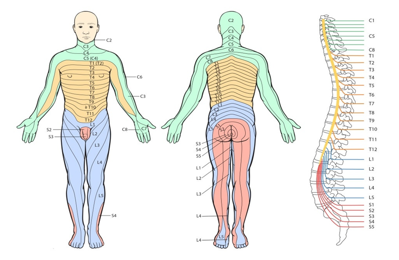 источник-Яндекс картинки