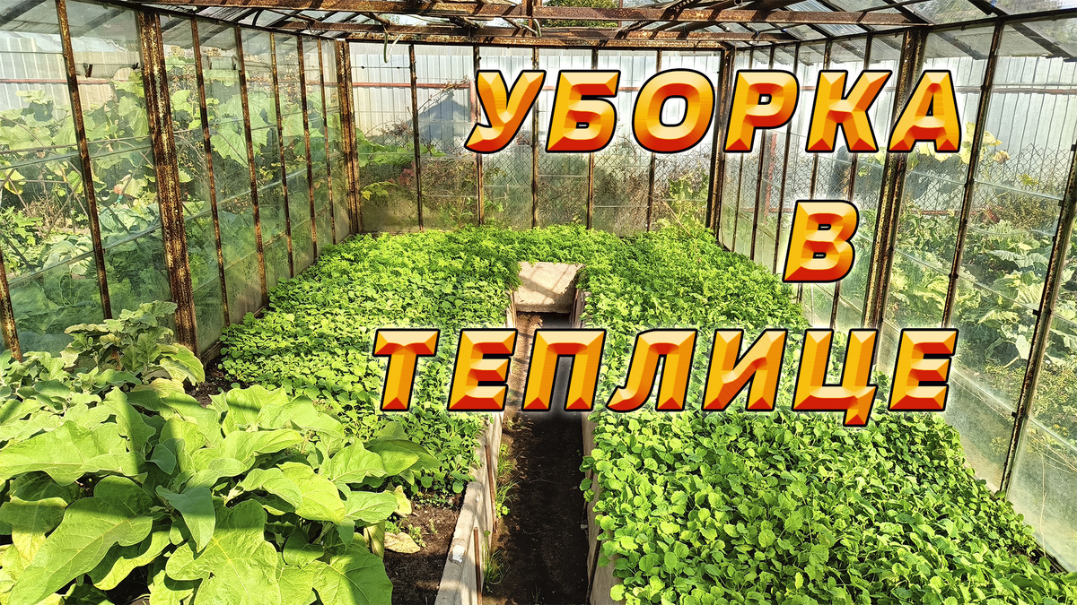 Обеззараживание теплицы.