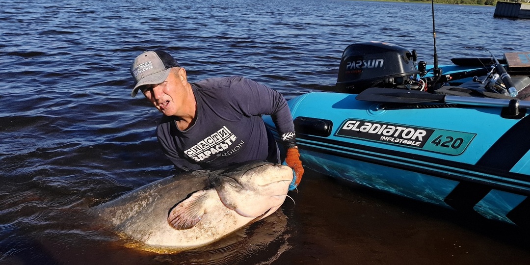 Сравнил карманный эхолот Calypso с Panoptix. Результат удивил