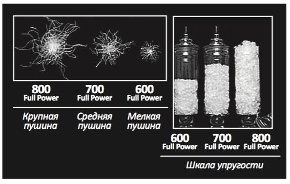 Идеальная пуховая куртка — миф или реальность?