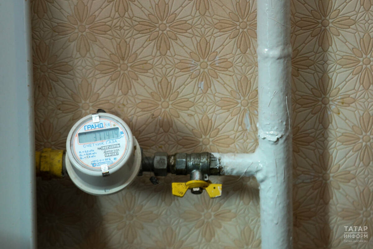    В Госдуме предложили упростить передачу показаний счетчиков