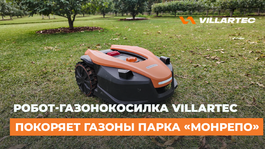 Видео превью