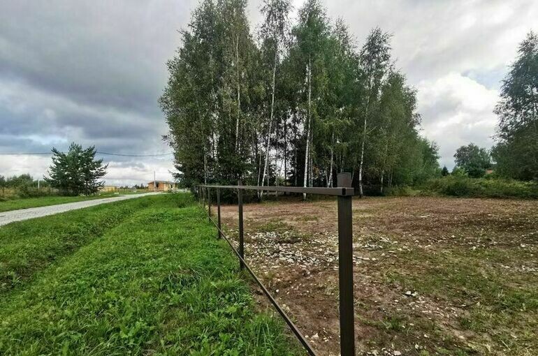   Игорь Самохвалов/«Парламентская газета»