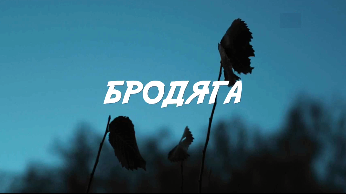 Сериал "Бродяга"
