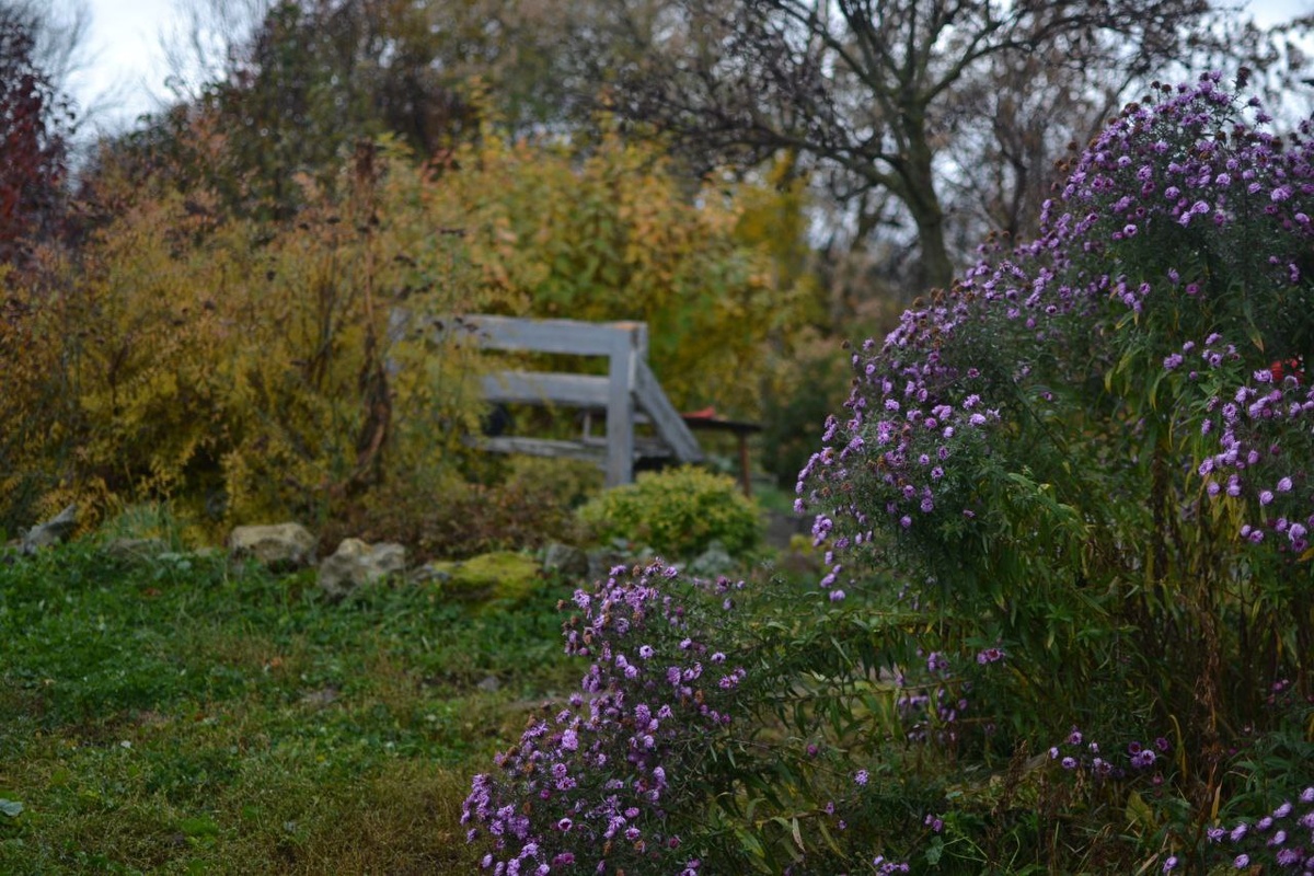 Три фотографии, листайте