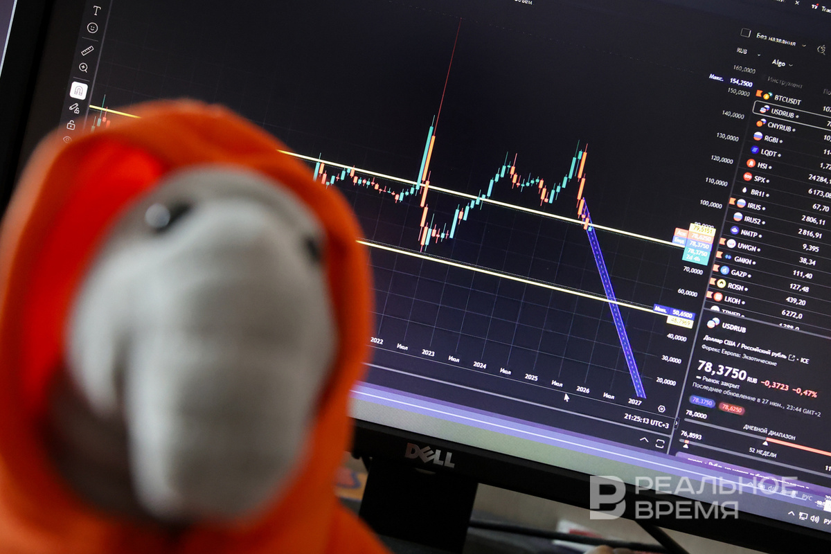   Артем Дергунов / realnoevremya.ru