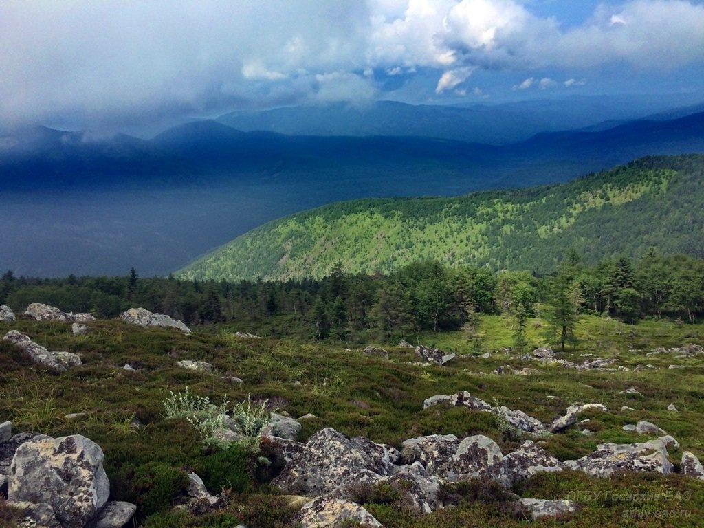 Фото из открытых источников 