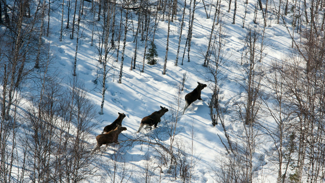    Фото: Serguei Fomine/Global Look Press