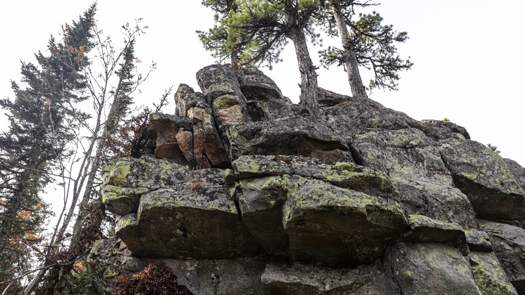    Фото: © Razmik Zackaryan/URA.RU/Globallookpress