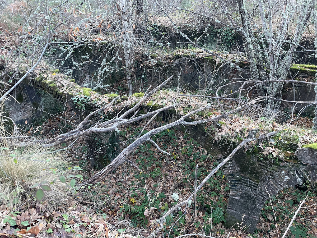 Это и есть алхибес