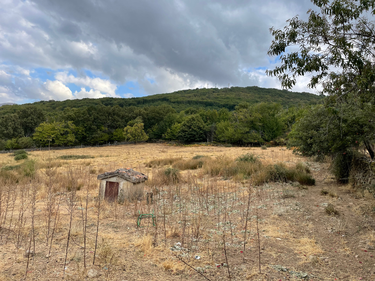 Это пастбище и домик на месте источника