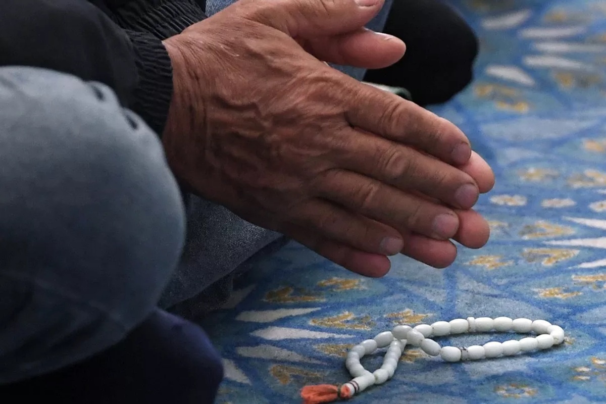    Фото: Максим Богодвид, источник РИА Новости