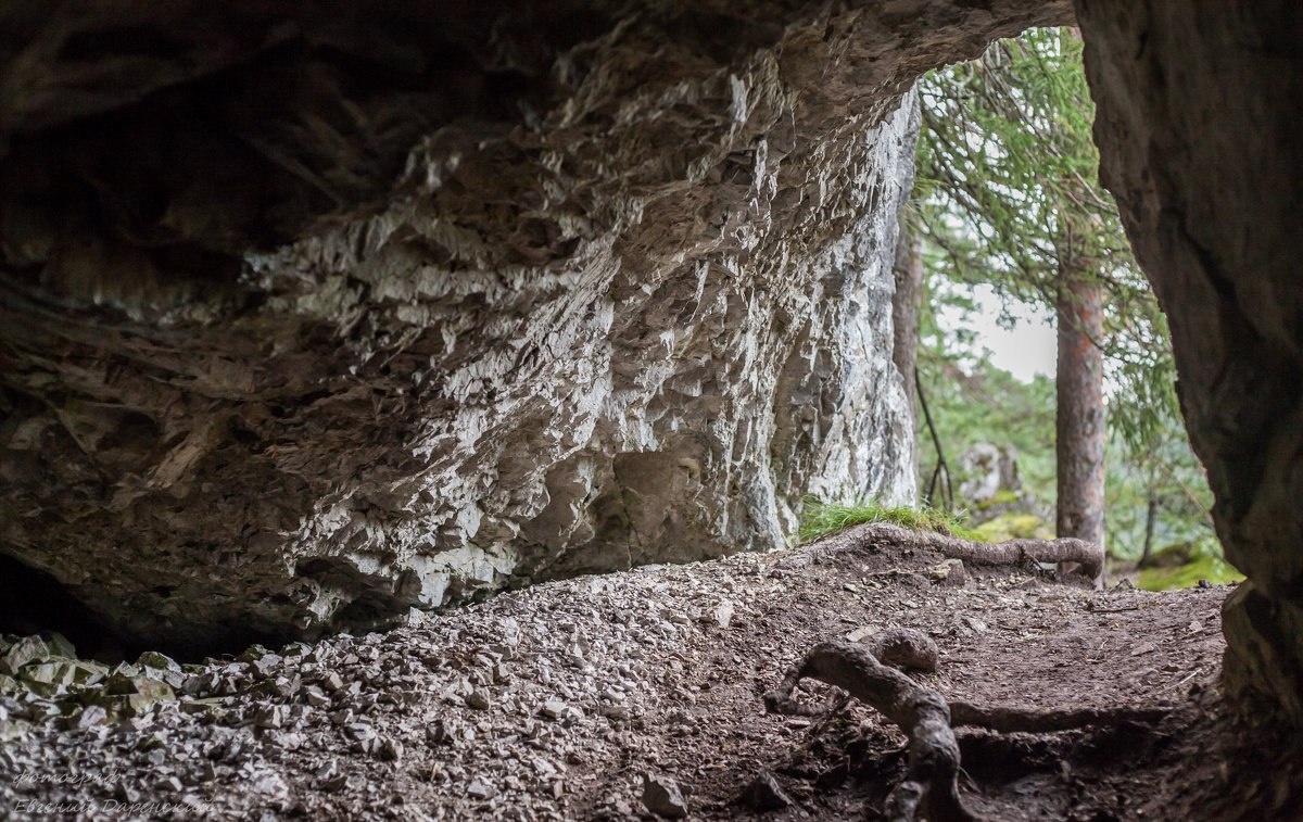 Субботняя сказочка рассказаная на ночь. Кто водит путников кругами в «Оленьих ручьях»?