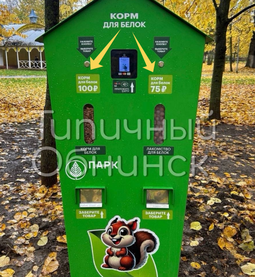Скрин автора