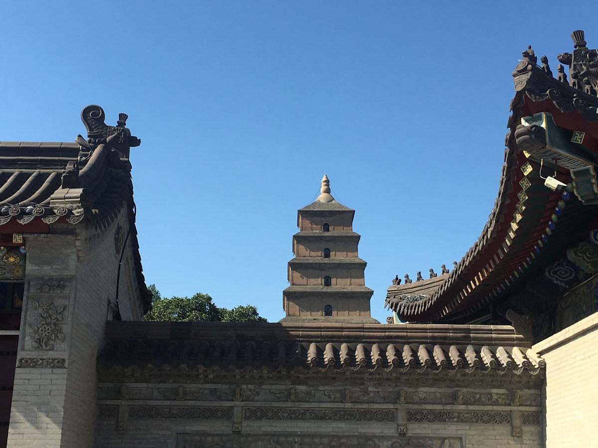 Фото Дарьи Шишкиной