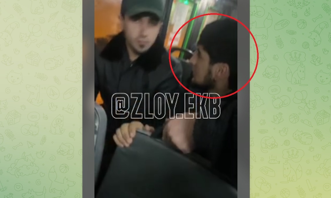 Скриншот t.me/zloy_ekb