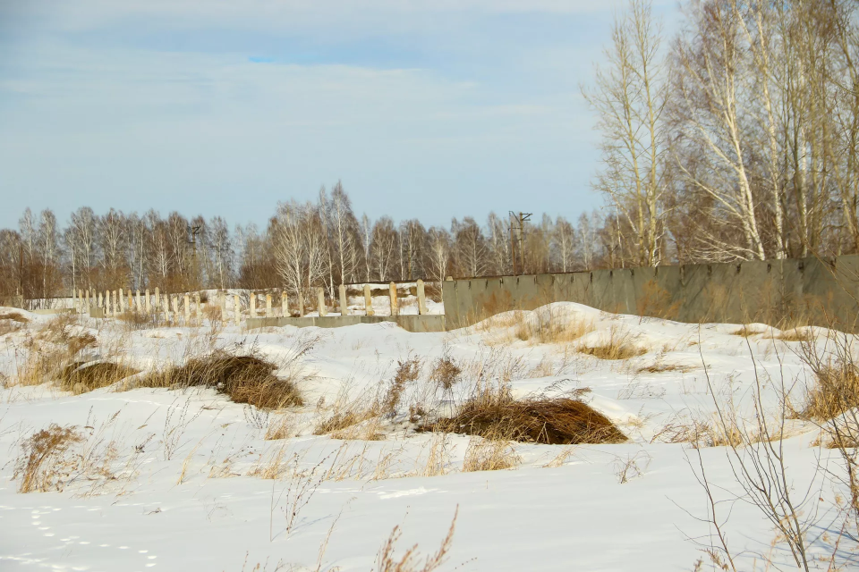    Территория у заброшенной военной части. Источник: Виталий Барабаш/"Толк"